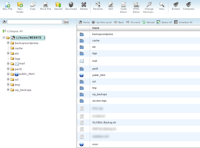 wordpress site backup - File manager