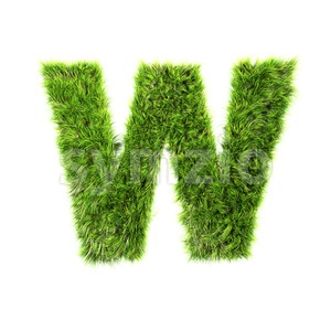 herb font W - Capital 3d letter Stock Photo