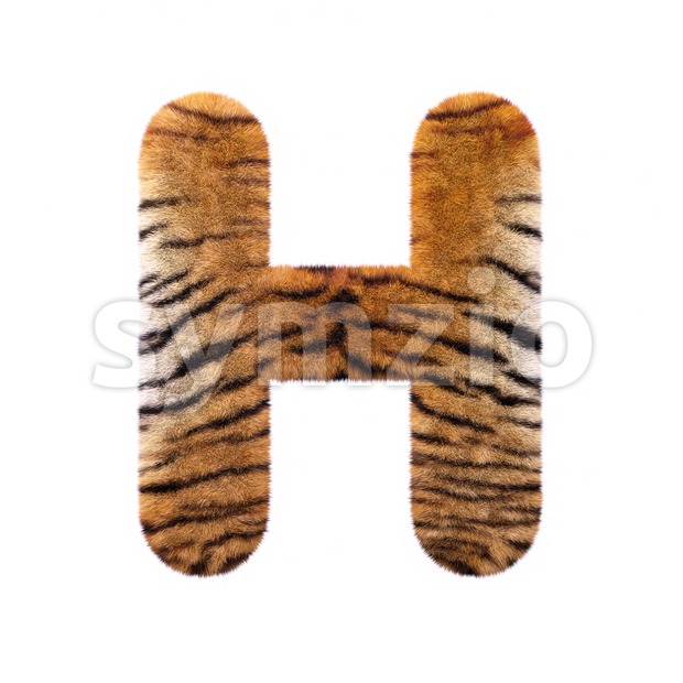 tiger fur 3d letter H - Upper-case 3d character Stock Photo