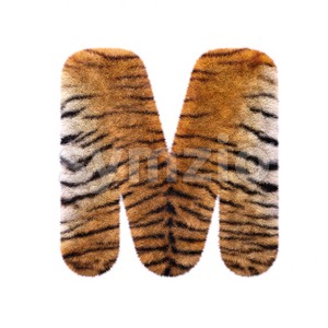 3d Capital character M covered in tiger coat texture Stock Photo