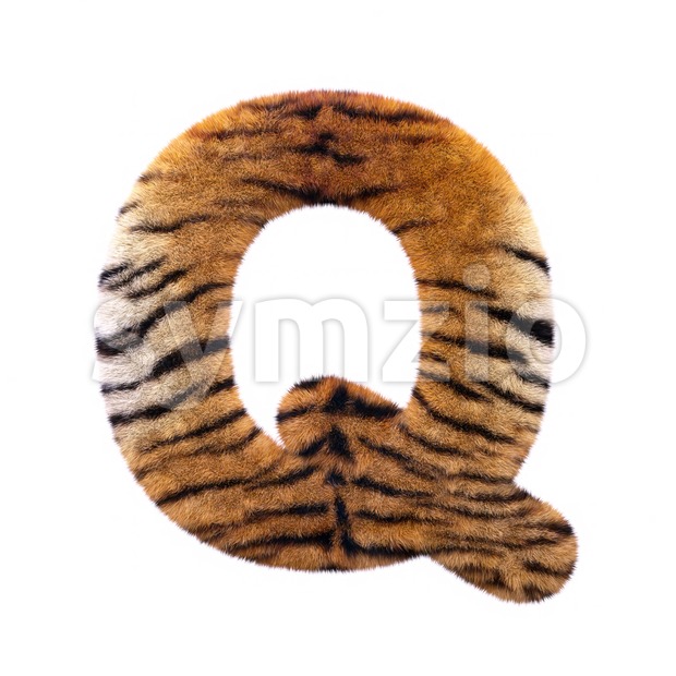 3d Upper-case font Q covered in tiger coat texture Stock Photo