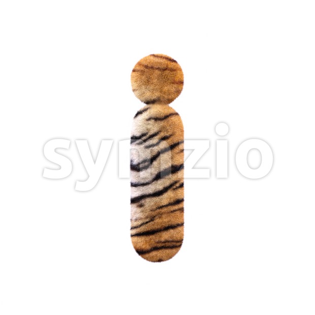 3d Small letter I covered in tiger coat texture Stock Photo