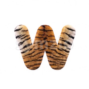 3d Lower-case letter W covered in tiger texture Stock Photo