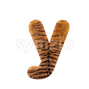 Lowercase tiger coat character Y - Small 3d letter Stock Photo