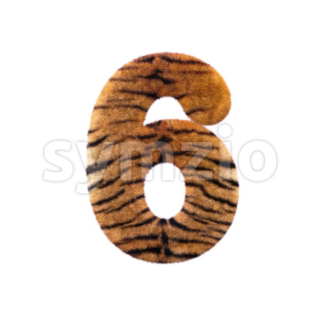 Tiger digit 6