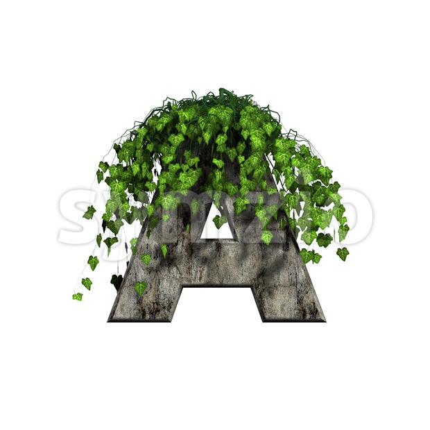 concrete letter A with ivy - Capital 3d character Stock Photo
