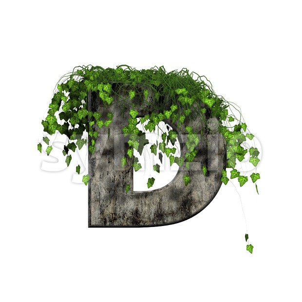 concrete font D covered with ivy - Capital 3d character Stock Photo